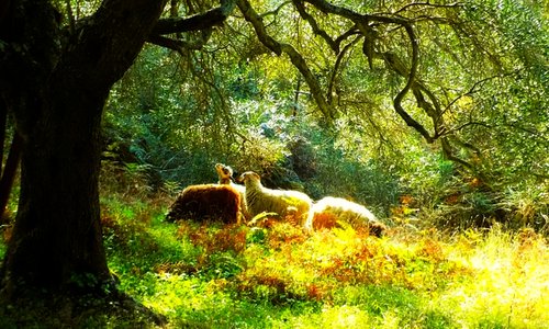 HUMOSIANA NATURE SANCTUARY
